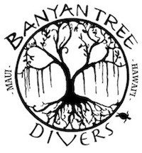 Banyan Tree Divers Scuba